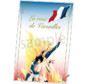 ベルサイユのばら