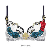 Brassiere